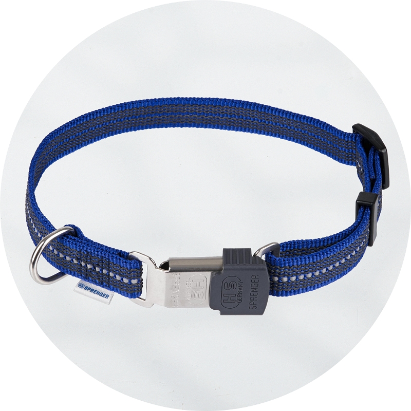 Blue 2025 prong collar